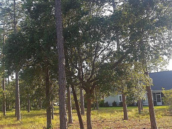 4th image of 209 Planters Ridge Dr
