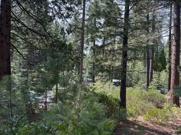 102 Fox Crest Dr #Fg, Westwood, CA 96137