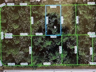 1507 Mangrove St, Lake Placid, FL, 33852