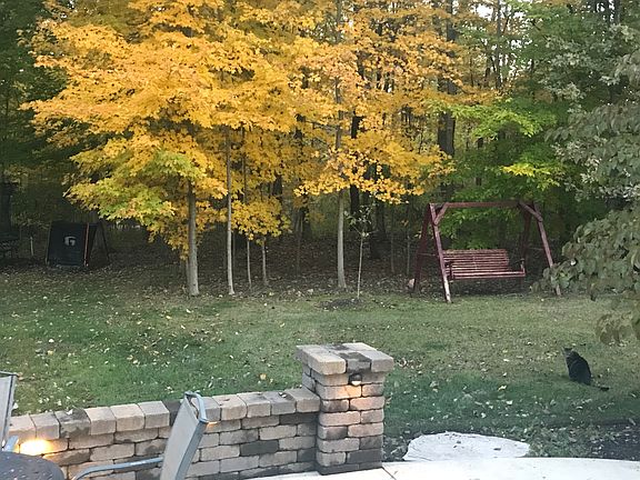 5th image of 6593 Raynor Ct