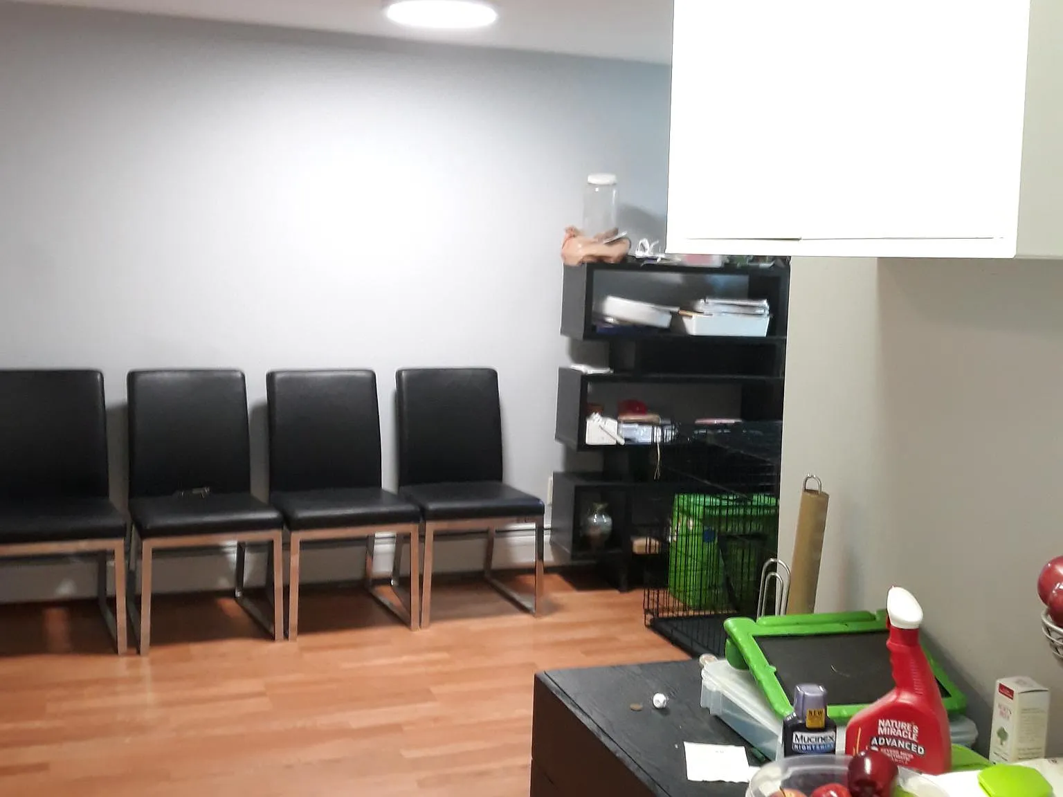 2 bed, 1200 sqft, $3,250 — Photo 4