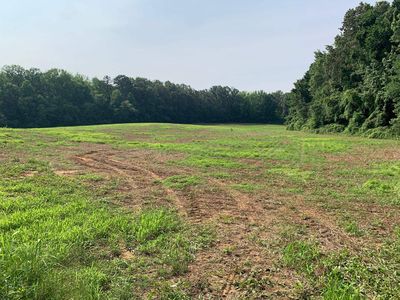 225 Highway, Bethel Springs, TN, 38315