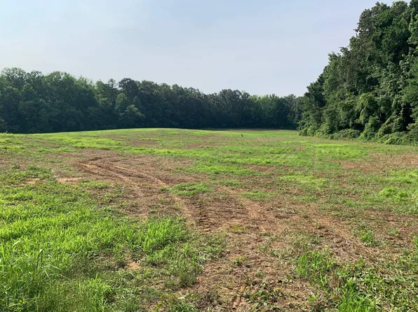 225 Highway, Bethel Springs, TN 38315