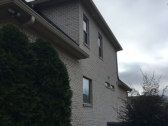  professional landscaping 