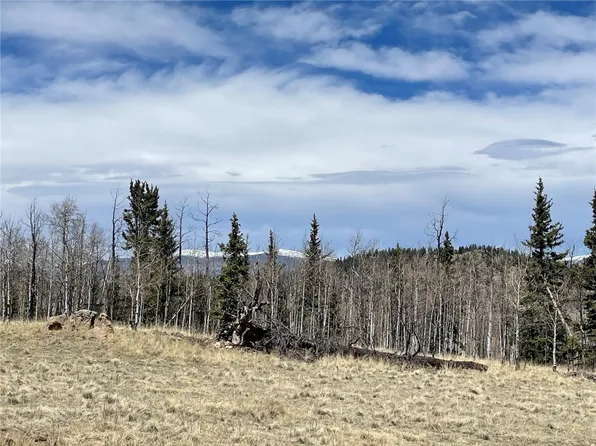 400 Vulture Ln, Como, CO 80432