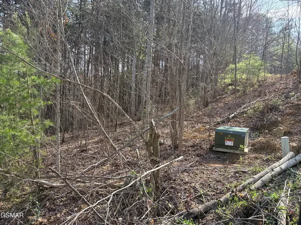 0 Trentham Rd, Newport, TN 37821