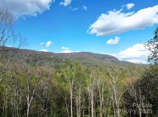 297 Easy Springs Rd, Sapphire, NC 28774