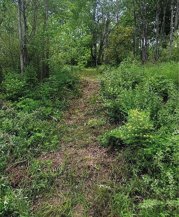 2nd image of Mary Lynne Ln Lot 9