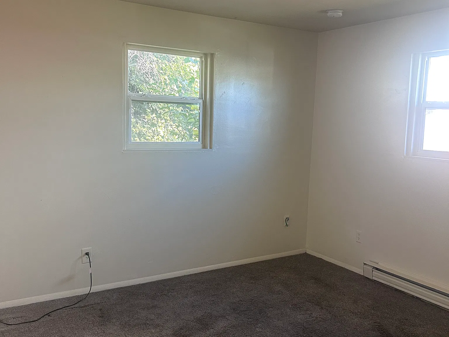 411 Howison Ave — Photo 4