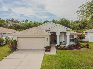 7825 Blackhill St, Wesley Chapel, FL 33545