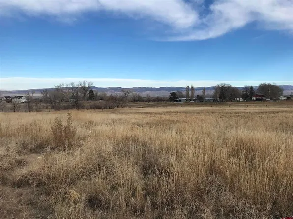 58509 Spring Creek Road, Montrose, CO 81403