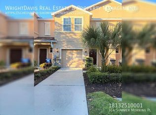 314 Summer Morning Pl, Brandon, FL 33511