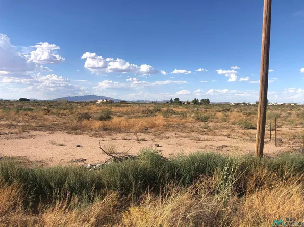 Scotch Pine Dr SE, Deming, NM 88030