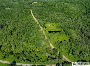 0 Morgan Hollow Rd #53, Franklinville, NY 14737