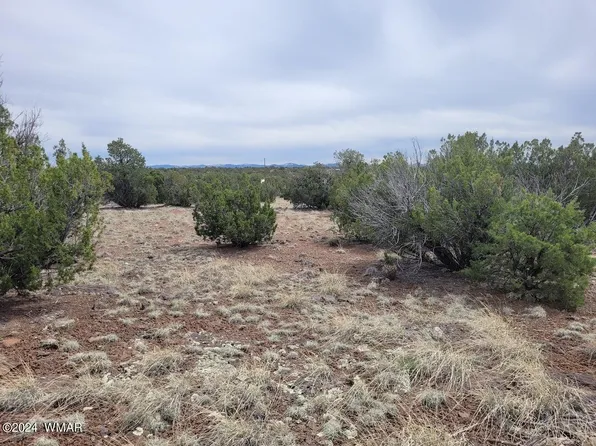 LOT 8305 186, Concho, AZ 85924
