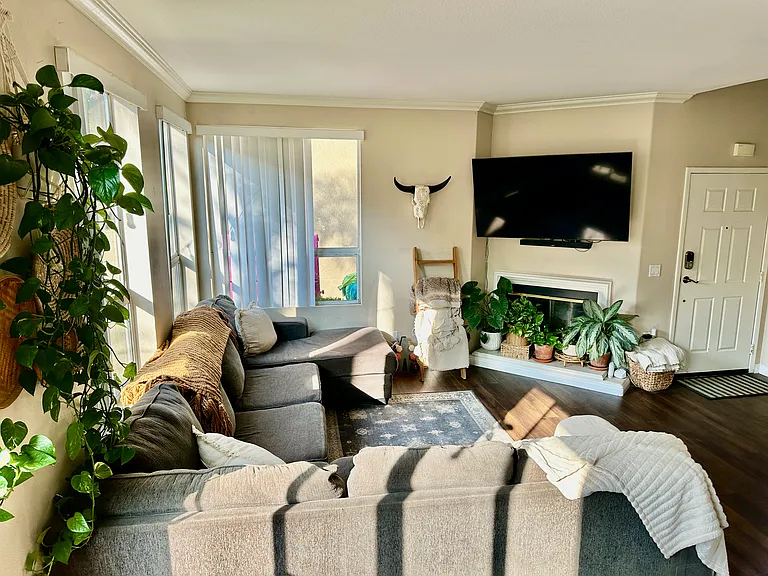 24482 Sunshine Dr — Photo 8