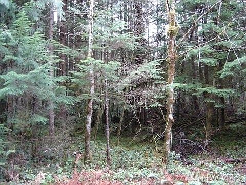 3rd image of 7460 Glacier Springs Dr