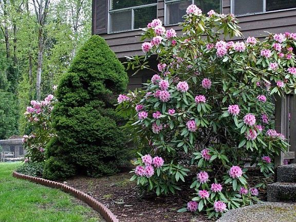 Spring is spectacular at this property! Lots of mature, easy care landscaping.
