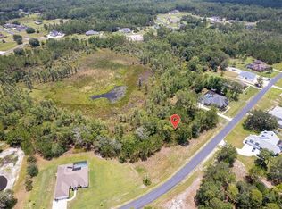 8316 Spring Forest Ln #64, Wesley Chapel, FL 33544