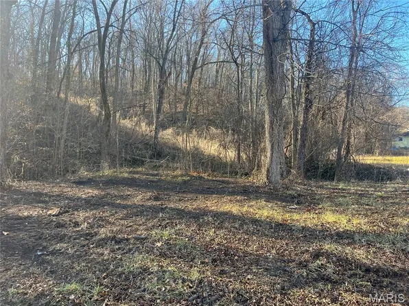 1004 Olive St, New Haven, MO 63068