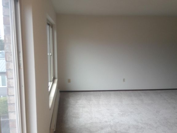 Large South-East Facing Windows in Open Living Room