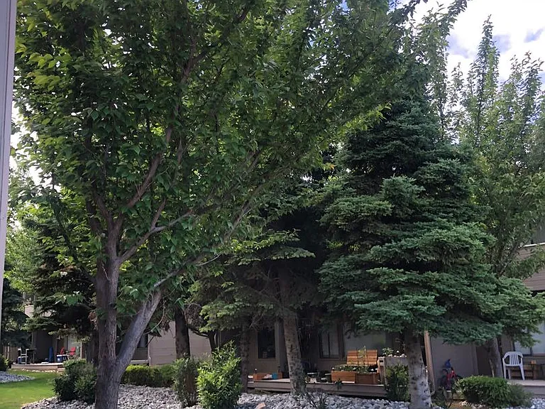 7 S Western Ave — Photo 14