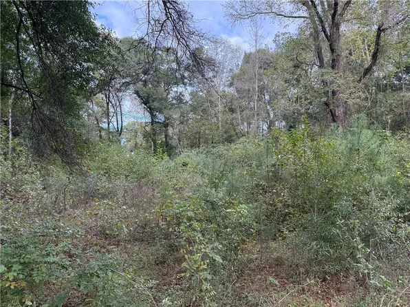 0 Owens & McLendon Rd, Fort Mitchell, AL 36856
