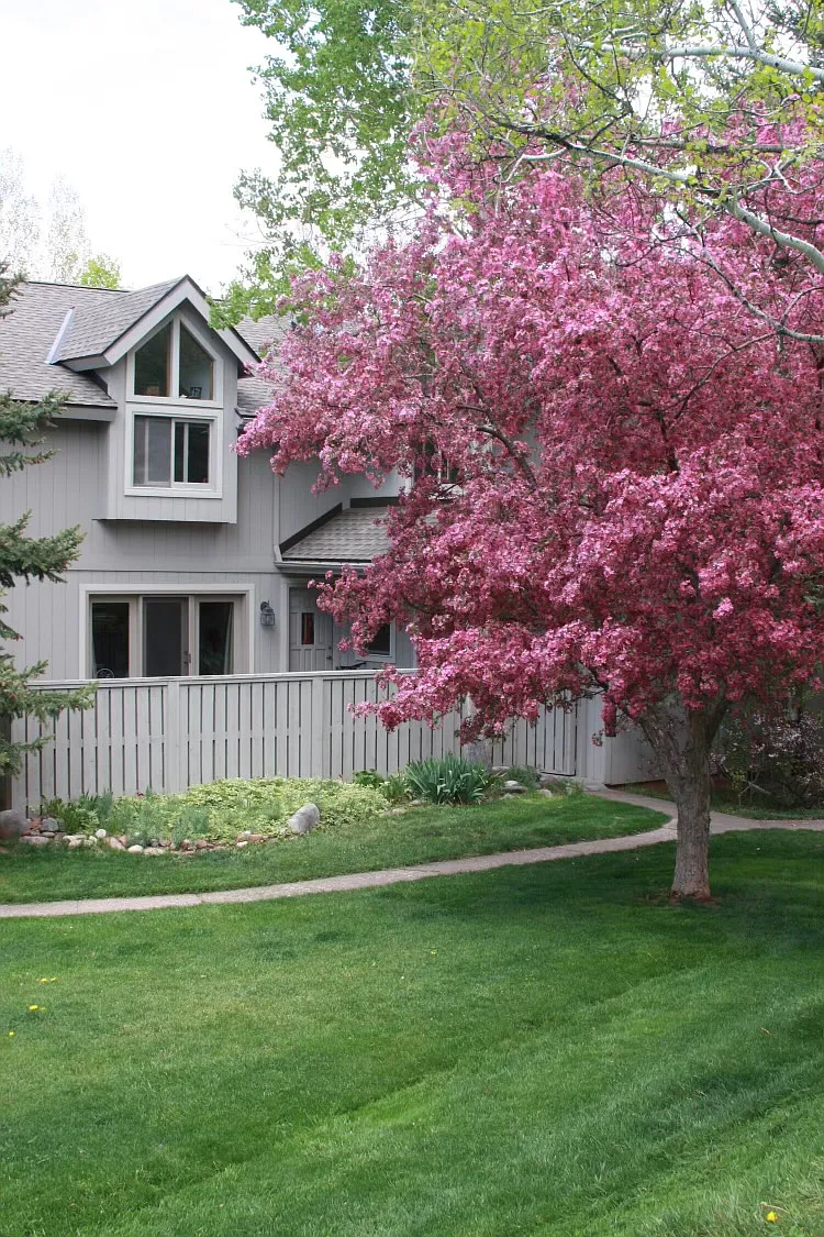 3 bed, 3.5 bath, 1990 sqft, $5,450 — Photo 1