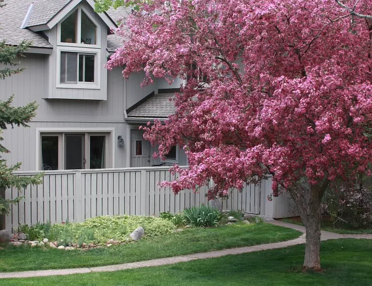 103 Devon Ct #103 — Photo 1