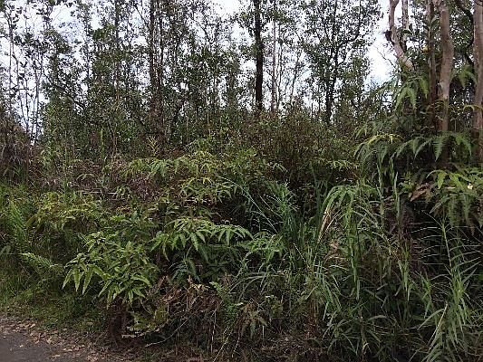 2nd image of 16-1597 Road 3 Lot 3258