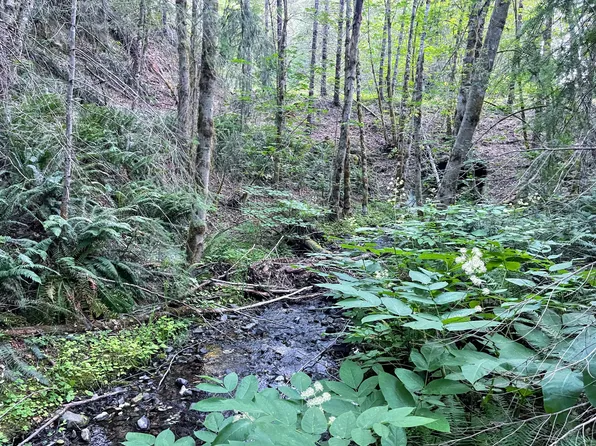 0BLM34-7-4 McKnabe Cres, Wolf Creek, OR 97497