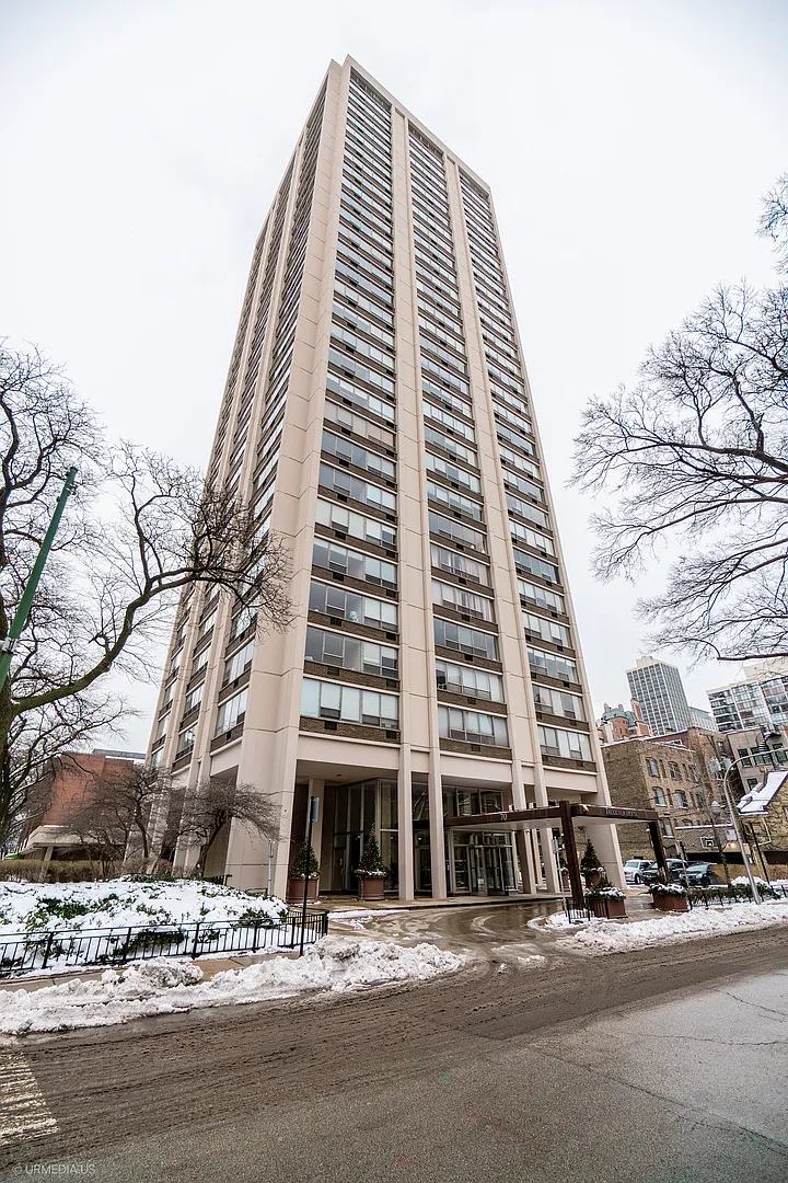 70 W Burton Pl APT 2905F photo 1