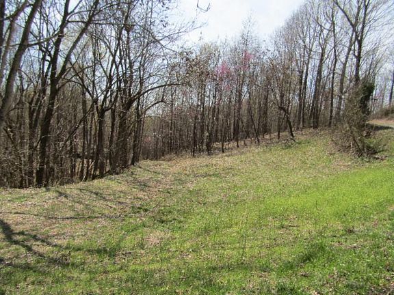 3rd image of 24.82AC Hickory Ln Lot 11