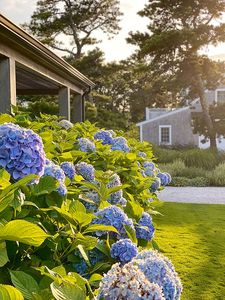 69 S Shore Rd, Nantucket, MA, 02554