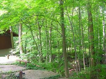 5th image of 1270 Tolley Wood Dr