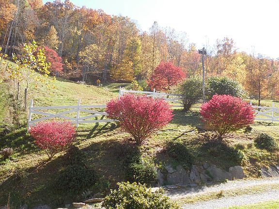 11th image of this home