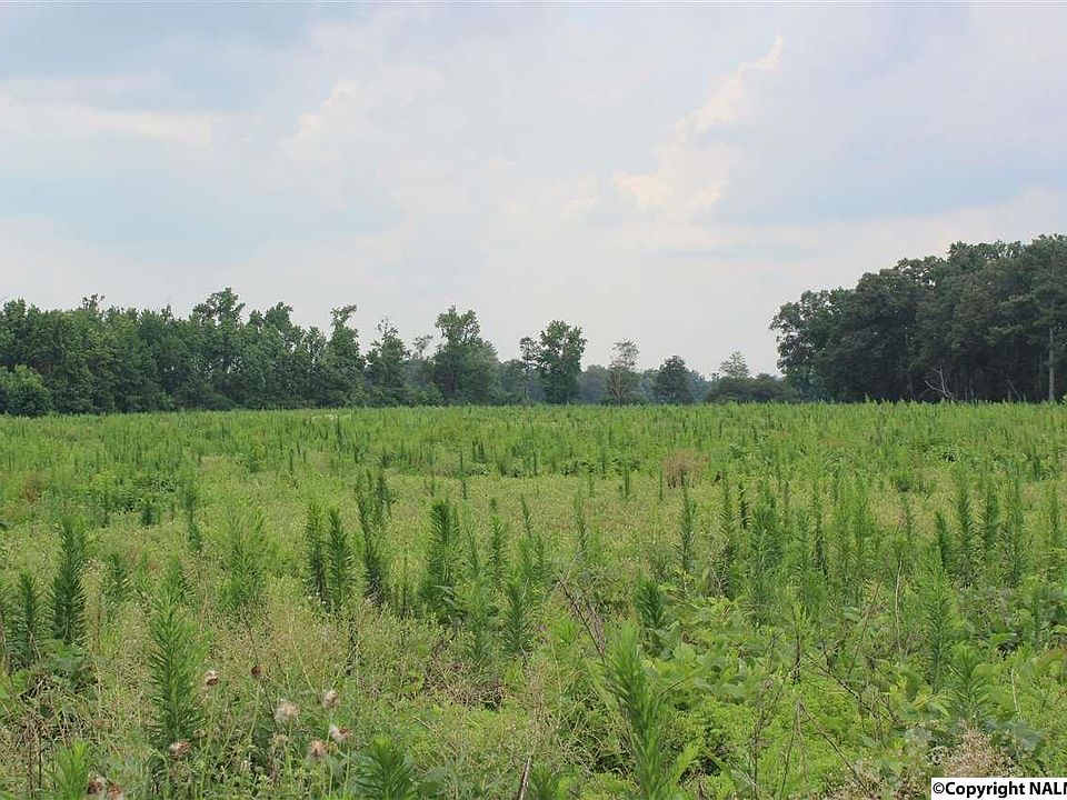 1st image of 3013 County Road 58