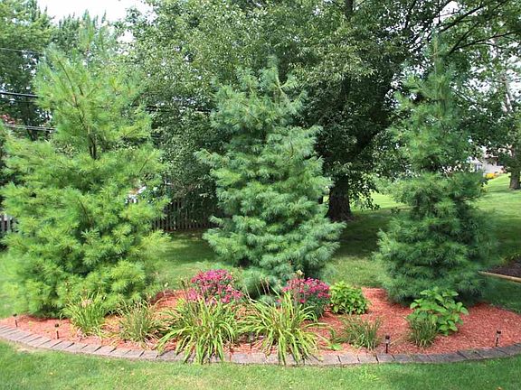 3rd image of 106 Parkway Dr