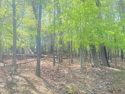 2010 Tahlequah Ln, Mooresburg, TN, 37811