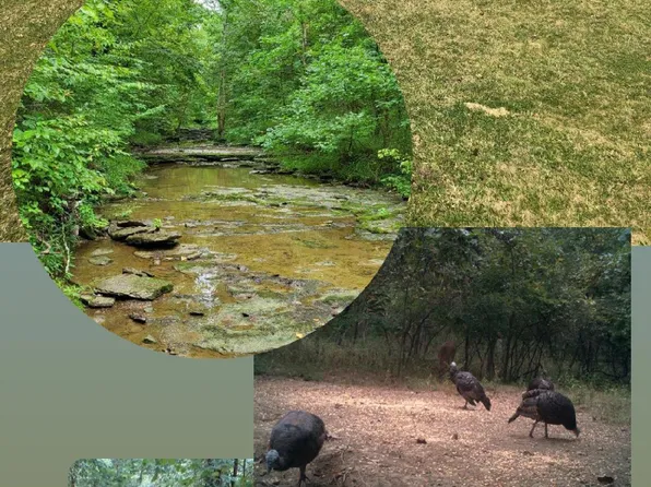 1743 Albert Moore Rd, Lockport, KY 40036