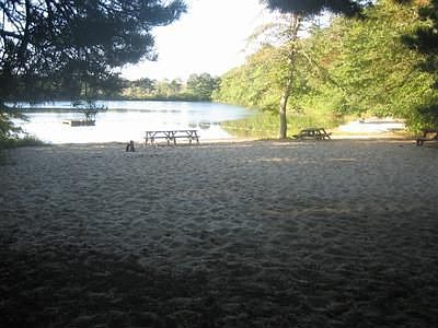 Deeded rights to beach on Greenland Pond