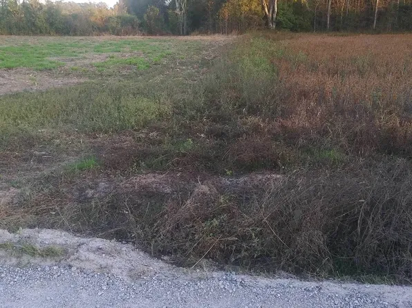 Lot 012 Davis Lane #Davis LANE, Mullins, SC 29574