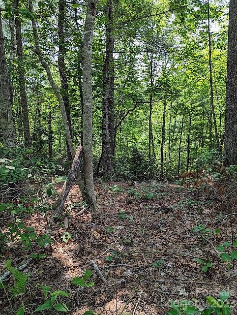 1st image of Erwin Hill Dr #25-26