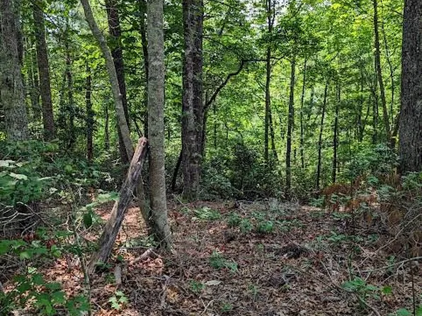 Erwin Hill Dr #25-26, Hendersonville, NC 28739