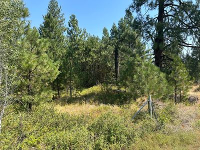 305X N Dalton Rd, Deer Park, WA, 99006