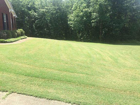 Tifton 419 Bermuda Sod