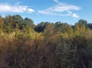 Tbd Asbury Church Rd, Clio, SC 29525