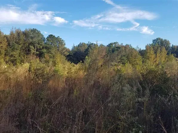 Tbd Asbury Church Rd, Clio, SC 29525