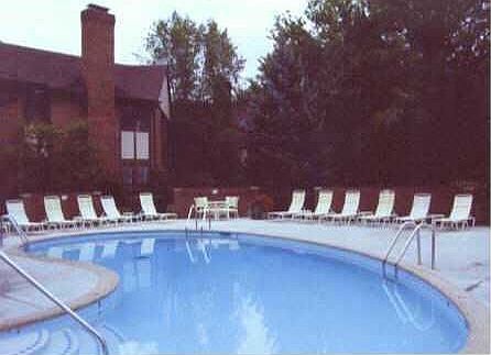 Refreshing Swimming Pool