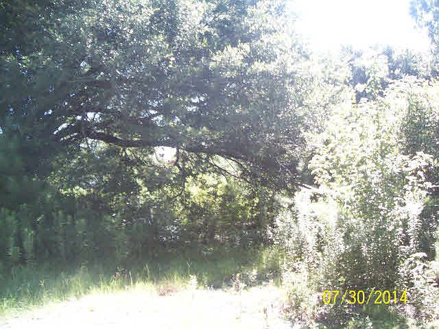 1st image of 37750 State Highway 225
